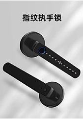 6521-指紋執手鎖 6521-指紋執手(shǒu)鎖